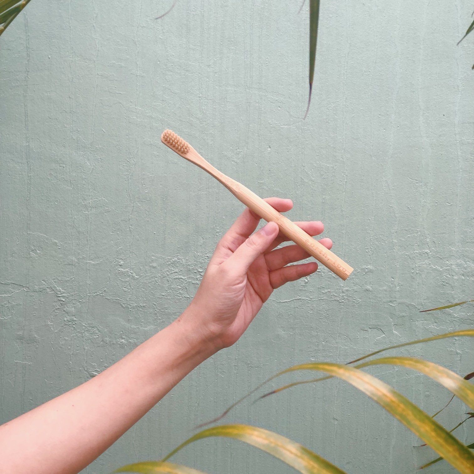 Bamboo Toothbrush - Adult Lifestyle Earth, Too